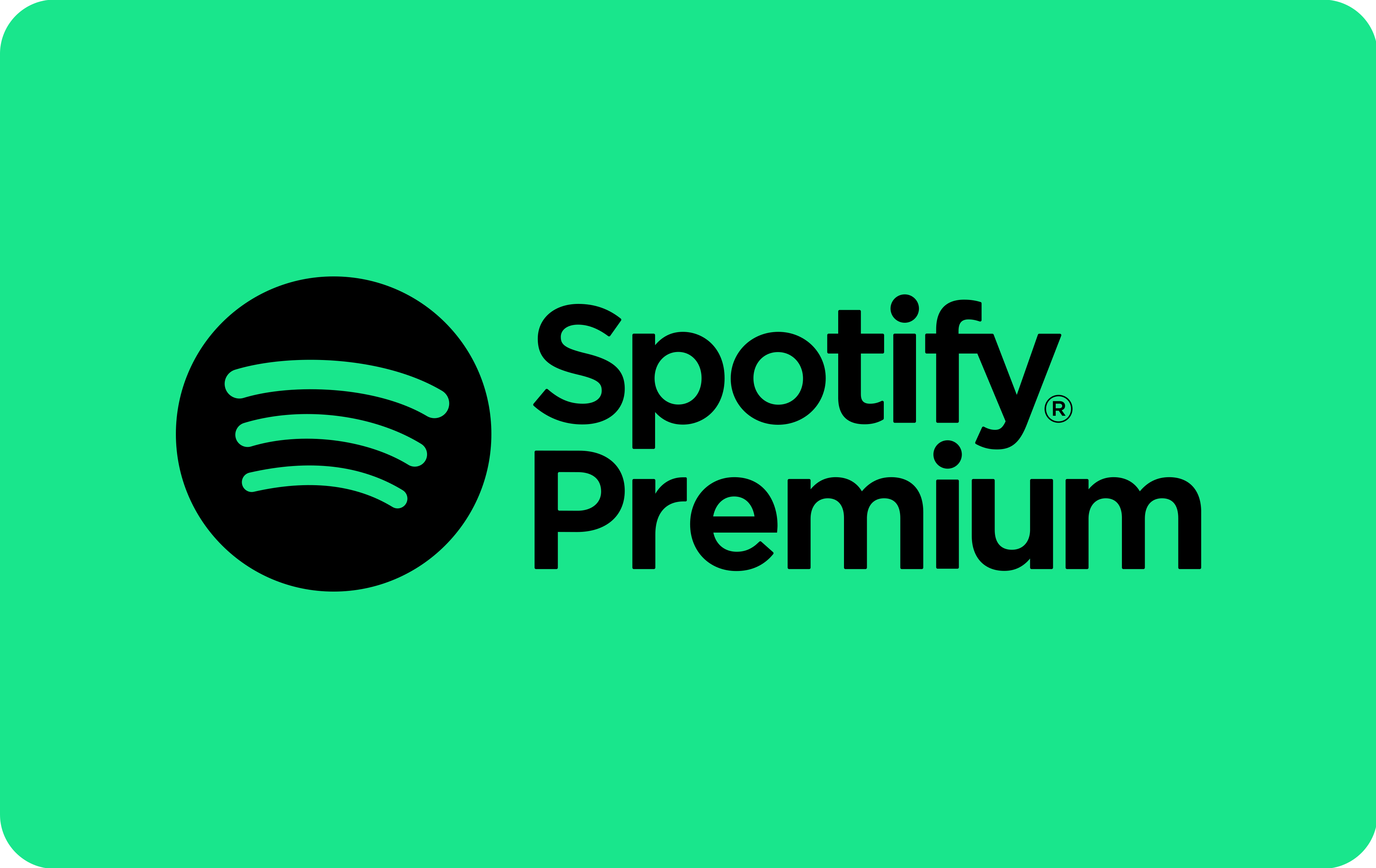 Spotify Premium 60,00 EUR